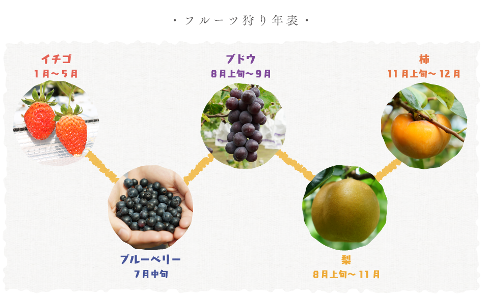 「フルーツ狩り-やまんどん うきはのフルーツ狩り」内の画像