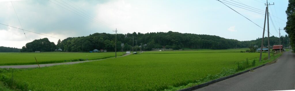 「寝釈迦｜スポット・体験｜千葉県公式観光サイト」内の画像