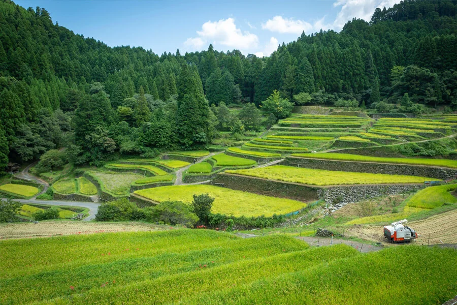 「今も残る日本の原風景　日本棚田百選に選ばれたことがある、うきはの山あい「つづら棚田」｜うきは観光サイト」内の画像